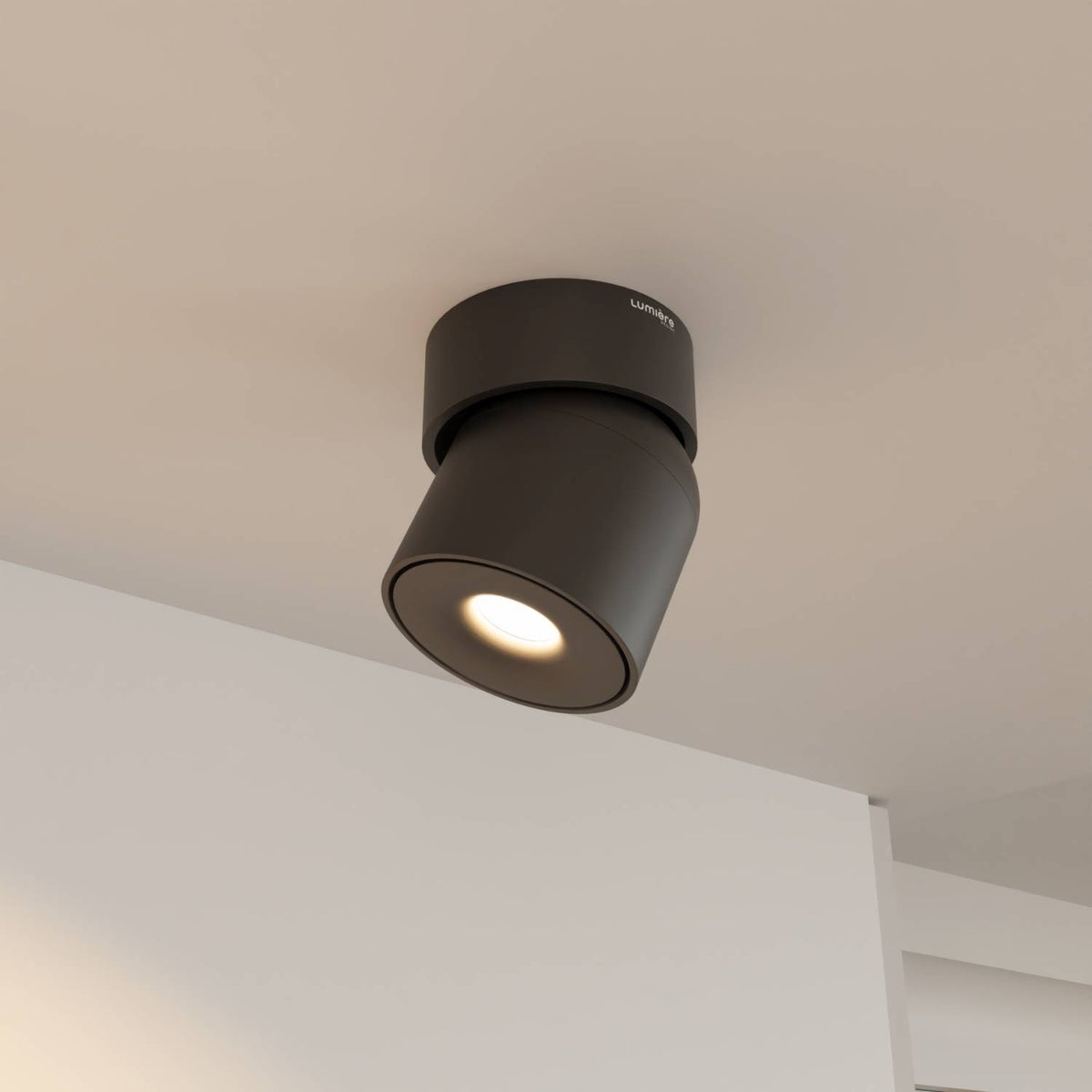 Towar drugiej jakości: lampa sufitowa Esol