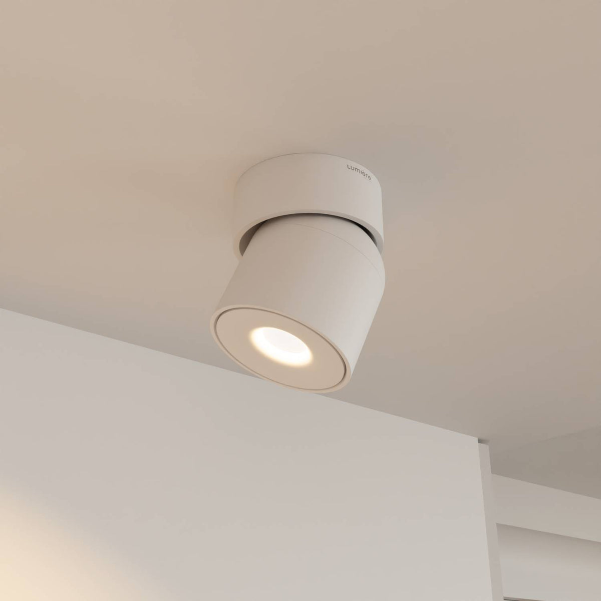 Towar drugiej jakości: lampa sufitowa Esol